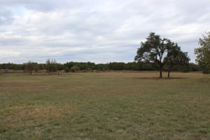 27284246
