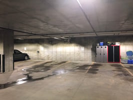 27289081