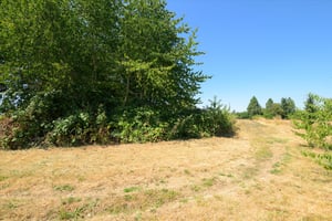 27290062
