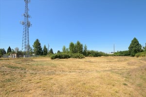 27290060