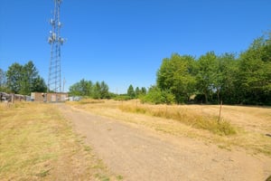 27290065