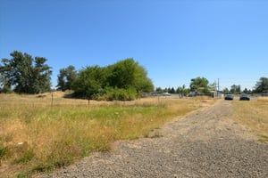 27290078