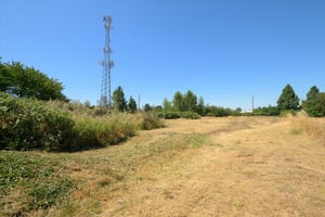 27290061