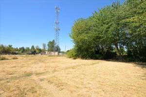 27290064
