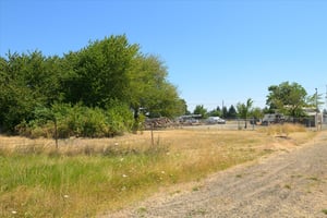 27290079