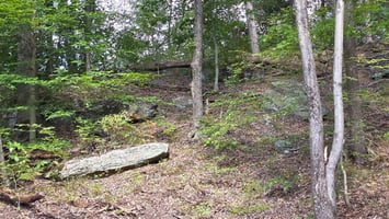 27295031
