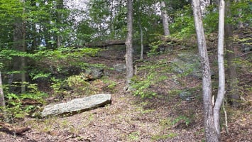 27295017