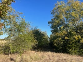 27298450