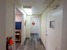 27299704