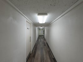 27299696