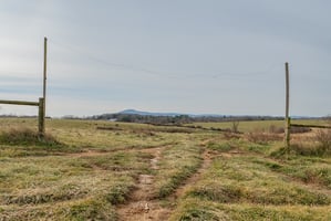 27300202