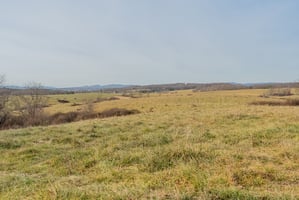 27300234