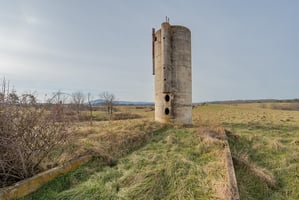 27300193