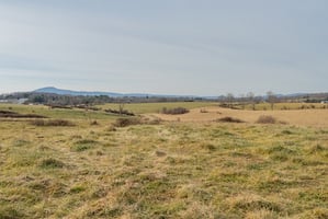 27300232