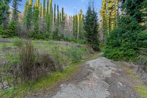28064162