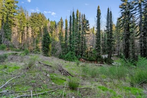 28064163