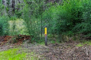 28064157