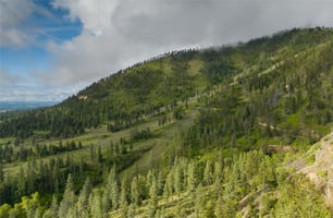 27305527