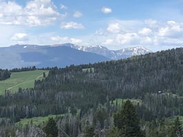 27305796