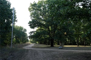 27306168