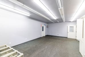 27523910