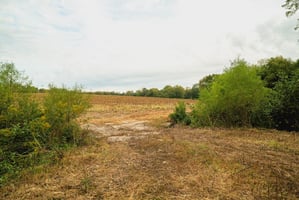 27323768
