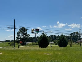 29613161