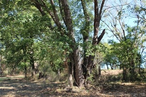 27359030