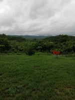 27369526