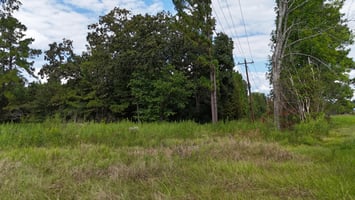 27372591