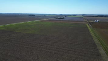 27374202