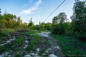 27376622