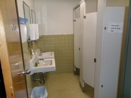 28955493