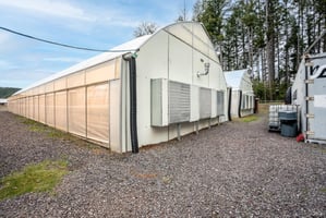 27388408