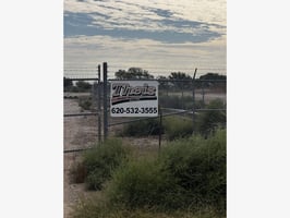 27390407