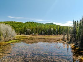 32012899