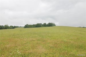 27399029