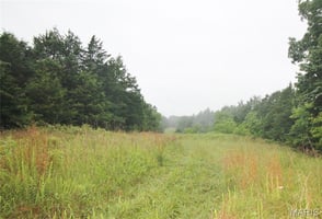 27399209