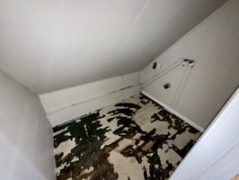 27402324