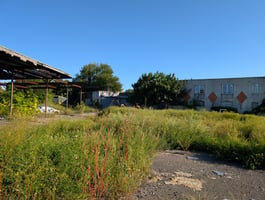 27427992