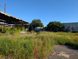 27427993