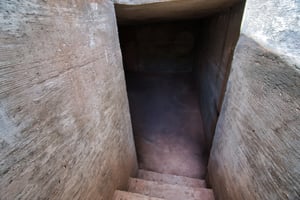 27411332