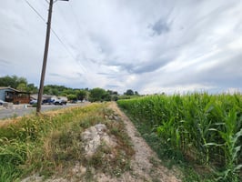 27416879