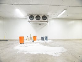 27525202