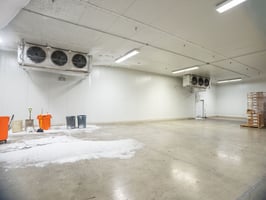 27525203