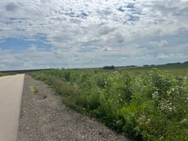 27430665
