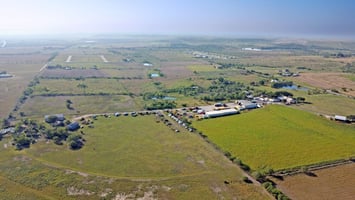 27431318