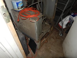 27432729