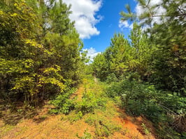 27515063