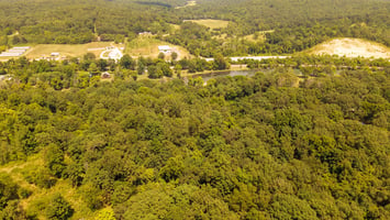 27515518